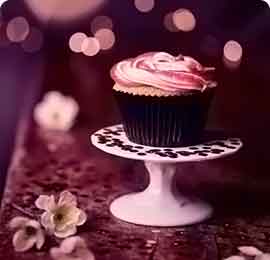 手机攻击器APP下载