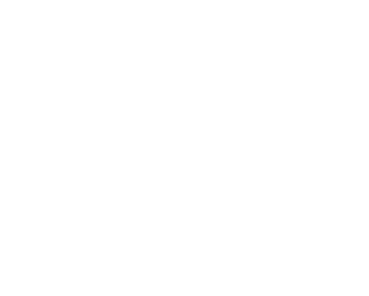 网站攻击软件工具